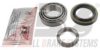 VOLVO 273872 Wheel Bearing Kit